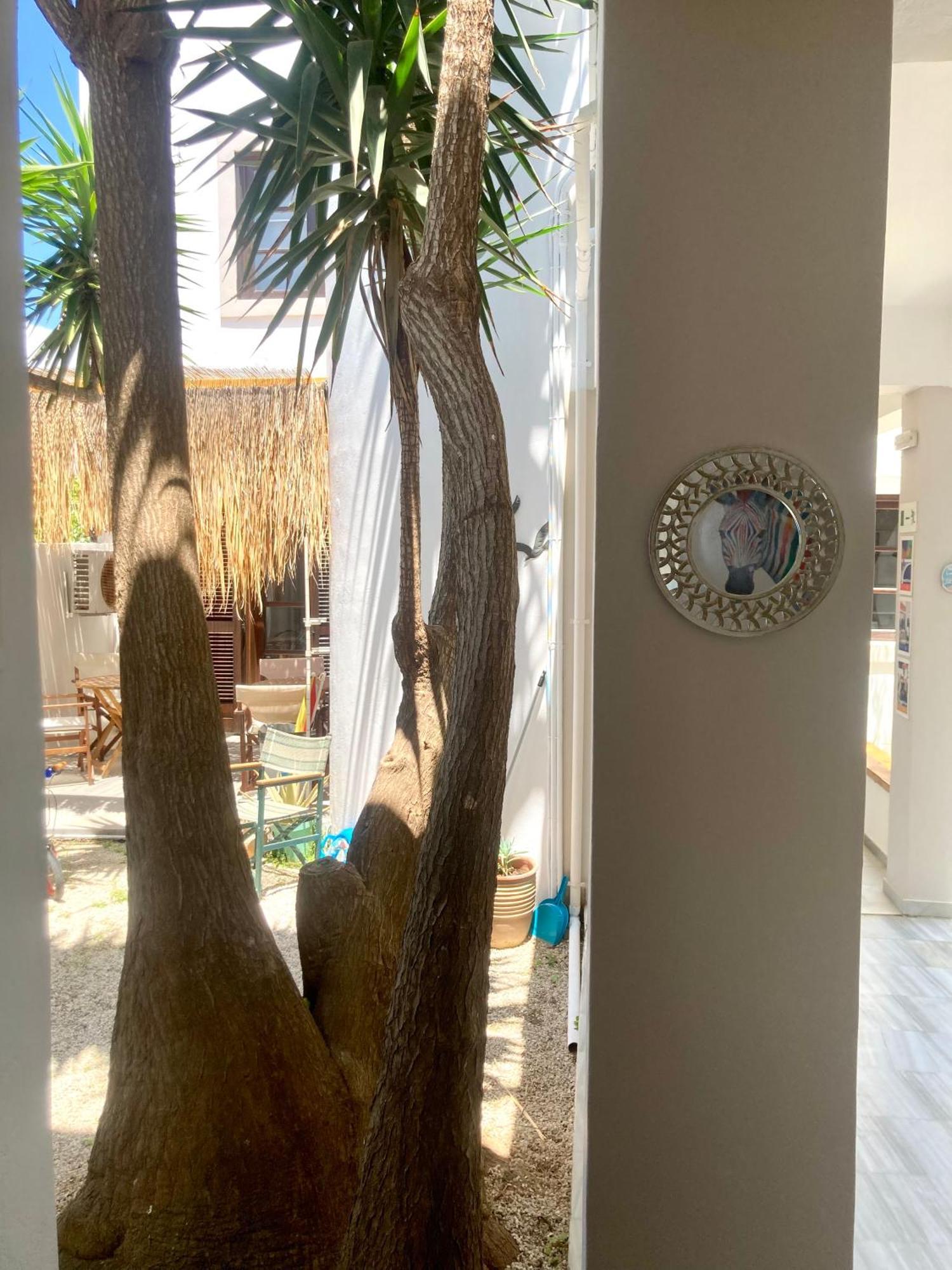 Tree Of Life Art Hotel Agia Marina Exteriér fotografie